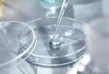 35岁以上女性进行试管婴儿时移植几个囊胚为宜？