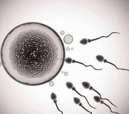 河南做试管婴儿费用大概多少？去试管一般多少钱左右？