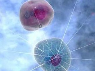 菏泽有可以做试管婴儿的私立机构吗？哪些因素会影响成功率？